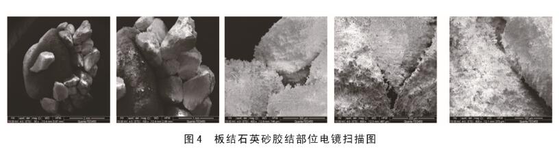 图4板结石英砂胶结部位电镜扫描图